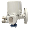 Atuador elétrico multivoltas básico da série CKDA